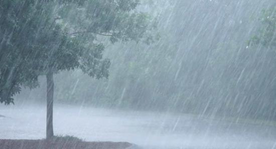 ප්‍රදේශ රැසකට අද වැසි....